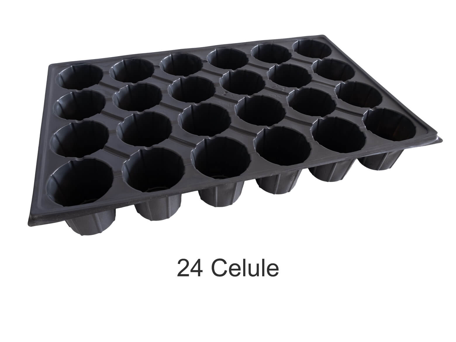 TAVI ALVEOLARE 24 CELULE PENTRU REPICAT
