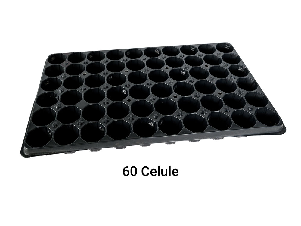 TAVI ALVEOLARE 60 CELULE PENTRU REPICAT