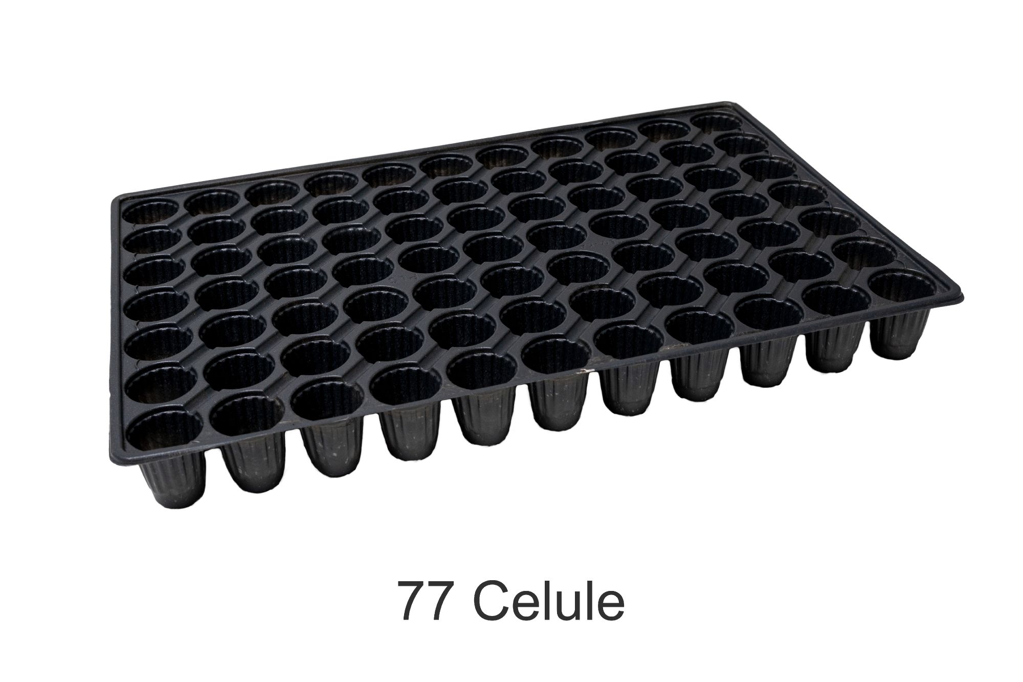 TAVI ALVEOLARE 77 CELULE PENTRU REPICAT