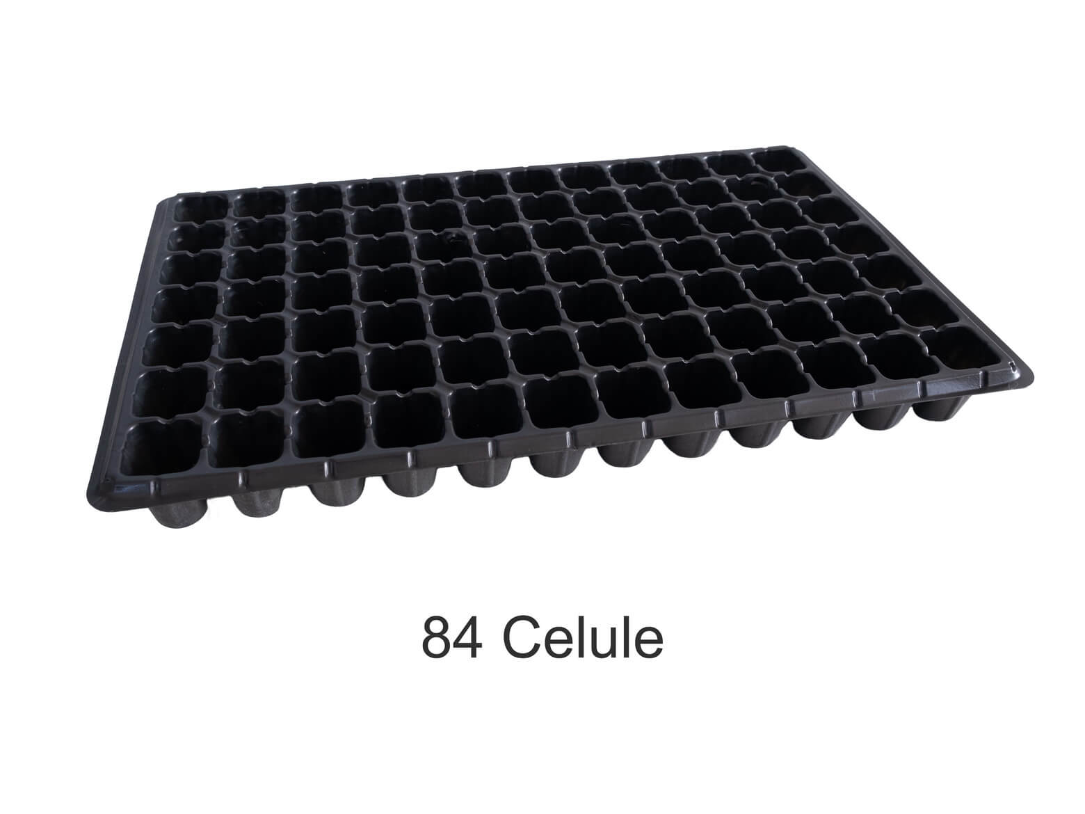 TAVI ALVEOLARE 84 CELULE PENTRU REPICAT