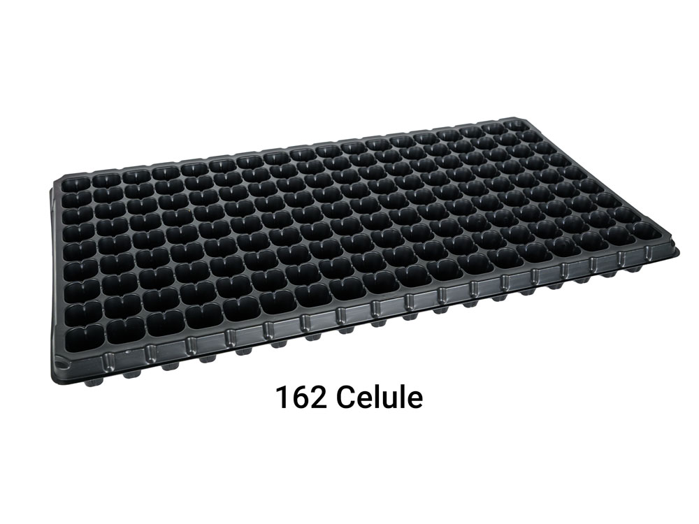 TAVI ALVEOLARE 162 CELULE PENTRU SEMANAT