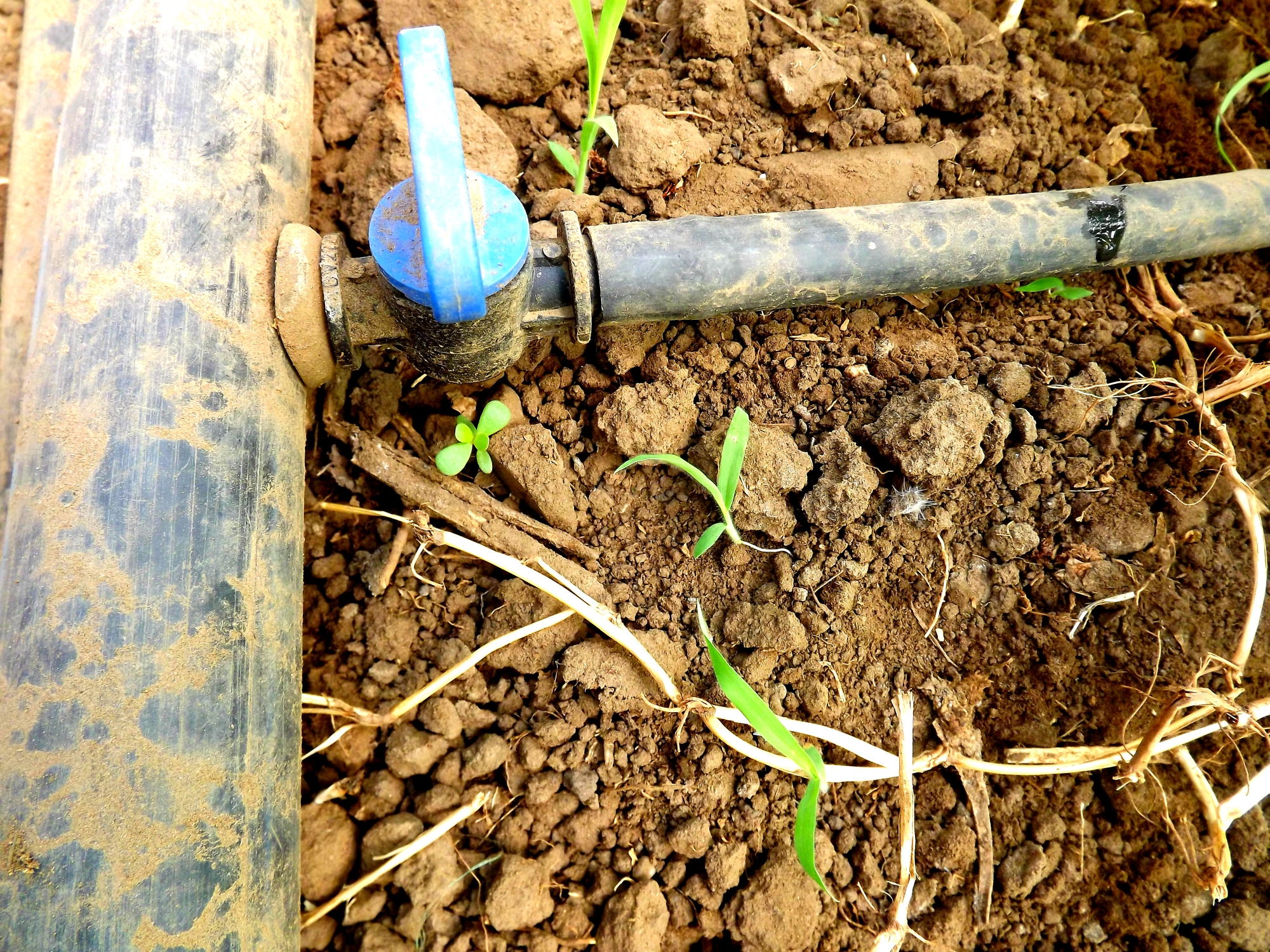 TUB DE IRIGARE PRIN PICURARE DG 25