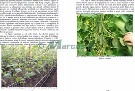 Influiența și efectele fertilizării castraveților extratimpurii