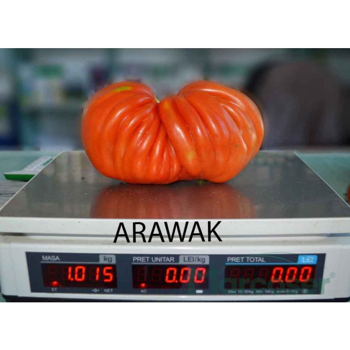 Tomate Arawak - 5