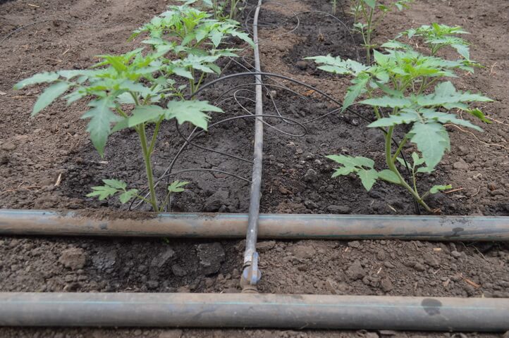 TUB DE IRIGARE PRIN PICURARE